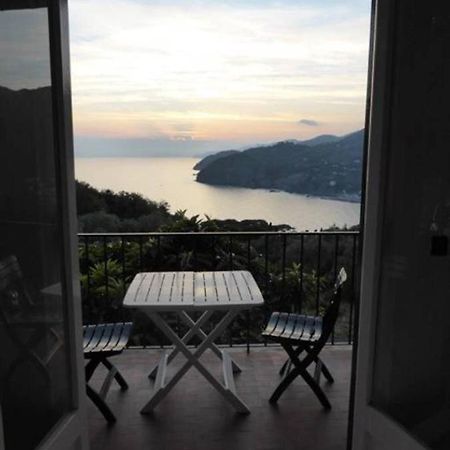 I Venti Daire Levanto Dış mekan fotoğraf